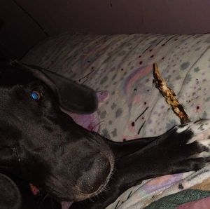 Meet your Posher, Stacie l